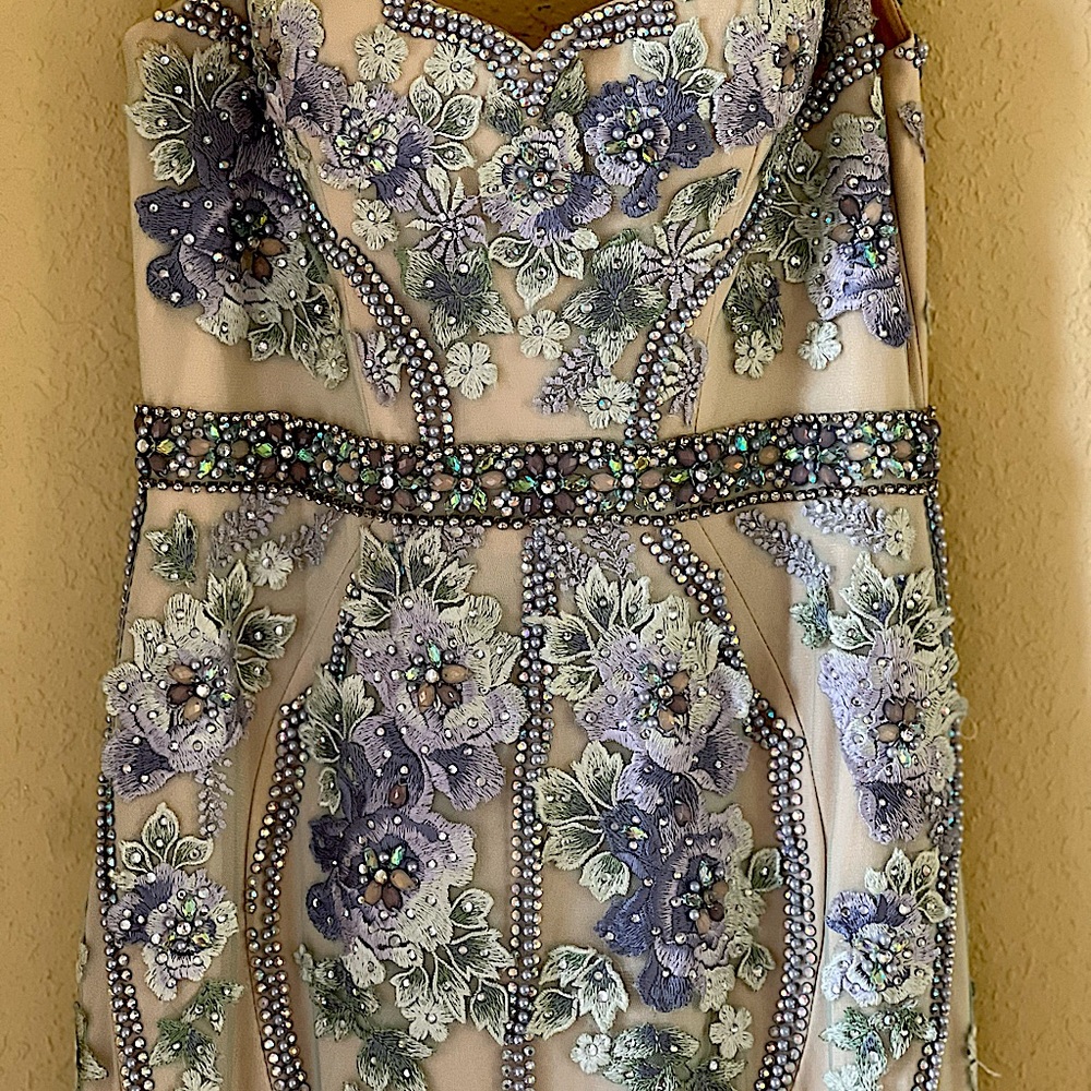Jovoni prom gown wore one time!! Perfect condition!  Embellished everywhere!